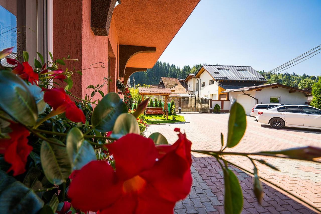 Vila Mery Moisei Exteriör bild